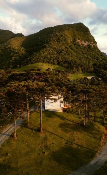 WhatsApp Image 2026-04-05 at 22.26.08