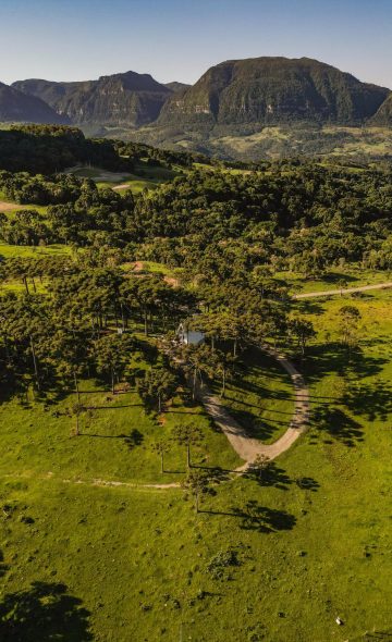 WhatsApp Image 2026-04-05 at 22.26.14