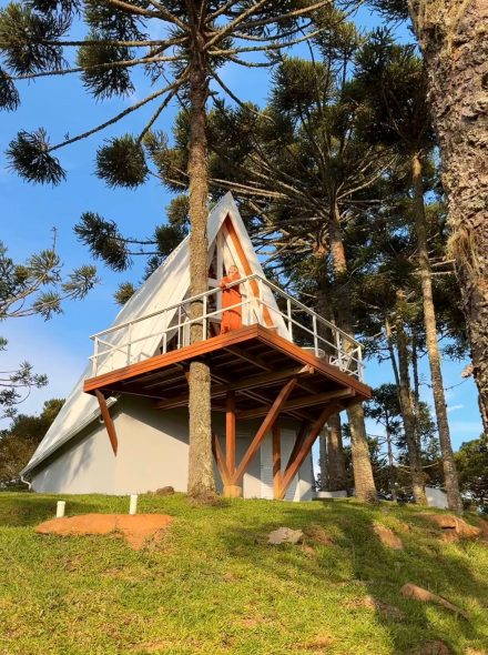 WhatsApp Image 2026-04-05 at 22.29.12