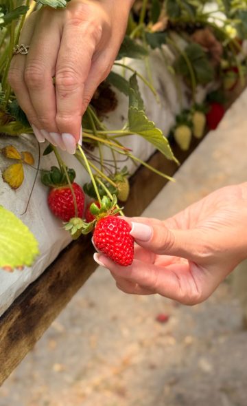 WhatsApp Image 2026-04-05 at 22.32.23