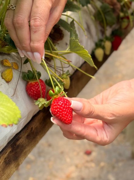 WhatsApp Image 2026-04-05 at 22.32.23